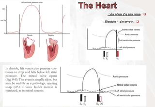 
‫מחזור‬
‫הדם‬
‫בלב‬
‫וקולות‬
‫הלב‬
:

‫הרפיית‬
‫הלב‬
–
Diastole
:
 