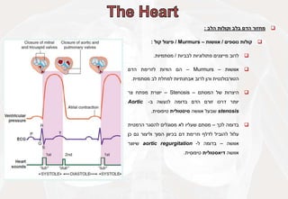 
‫מחזור‬
‫הדם‬
‫בלב‬
‫וקולות‬
‫הלב‬
:

‫קולות‬
‫נוספים‬
/
‫אוושות‬
–
Murmurs
/
‫פיצול‬
‫קול‬
:

‫לרוב‬
‫מייצגים‬
‫פתולוגיות‬
‫לבביות‬
/
‫מסתמיות‬
.

‫אוושות‬
–
Murmurs
–
‫הם‬
‫הודות‬
‫לזרימת‬
‫הדם‬
‫הטורבולנטית‬
‫והן‬
‫לרוב‬
‫אבחנתיות‬
‫למחלת‬
‫לב‬
‫מסתמית‬
.

‫היצרות‬
‫של‬
‫המסתם‬
–
Stenosis
–
‫יוצרת‬
‫מפתח‬
‫צר‬
‫יותר‬
‫דרכו‬
‫זורם‬
‫הדם‬
‫בדומה‬
‫לנעשה‬
‫ב‬
-
Aortic
stenosis
‫שבעל‬
‫אוושה‬
‫סיסטולית‬
‫טיפוסית‬
.

‫בדומה‬
‫לכך‬
–
‫מסתם‬
‫שעליו‬
‫לא‬
‫מסוגלים‬
‫להסגר‬
‫הרמטית‬
‫עלול‬
‫להוביל‬
‫לדלף‬
‫וזרימת‬
‫דם‬
‫בכיוון‬
‫הפוך‬
‫וליצור‬
‫גם‬
‫כן‬
‫אוושה‬
–
‫בדומה‬
‫ל‬
-
aortic regurgitation
‫שיוצר‬
‫אוושה‬
‫דיאסטולית‬
‫טיפוסית‬
.
 