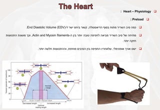 
Heart – Physiology
:

Preload
:

‫כמה‬
‫סיב‬
‫השריר‬
‫מתוח‬
‫בסוף‬
‫הדיאסטולה‬
,
‫קשור‬
‫ביחס‬
‫ישר‬
‫ל‬
-
End Diastolic Volume (EDV)
.

‫מתיחה‬
‫של‬
‫סיב‬
‫השריר‬
‫מביאה‬
‫לחפיפה‬
‫טובה‬
‫יותר‬
‫בין‬
‫ה‬
-
Actin and Myosin filaments
,
‫וכך‬
‫מושגת‬
‫התכווצות‬
‫חזקה‬
‫יותר‬
.

‫ישנו‬
‫אורך‬
‫אופטימלי‬
,
‫שלאחריו‬
‫החפיפה‬
‫בין‬
‫הסיבים‬
‫פוחתת‬
,
‫וההתכווצות‬
‫חלשה‬
‫יותר‬
.
 
