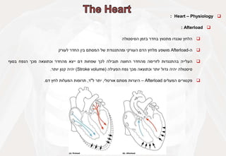 
Heart – Physiology
:

Afterload
:

‫הלחץ‬
‫שנגדו‬
‫מתכווץ‬
‫בחדר‬
‫בזמן‬
‫הסיסטולה‬

‫ה‬
-
Afterload
‫מושפע‬
‫מלחץ‬
‫הדם‬
‫העורקי‬
‫ומהתנגודת‬
‫של‬
‫המסתם‬
‫בין‬
‫החדר‬
‫לעורק‬

‫העלייה‬
‫בהתנגדות‬
‫לזרימה‬
‫מהחדר‬
‫החוצה‬
‫תובילה‬
‫לכך‬
‫שפחות‬
‫דם‬
‫ייצא‬
‫מהחדר‬
‫וכתוצאה‬
‫מכך‬
‫הנפח‬
‫בסוף‬
‫סיסטולה‬
‫יהיה‬
‫גדול‬
‫יותר‬
‫וכתוצאה‬
‫מכך‬
‫נפח‬
‫הפעילה‬
(
Stroke volume
)
‫יהיה‬
‫קטן‬
‫יותר‬
.

‫פקטורים‬
‫המעלים‬
Afterload
–
‫היצרות‬
‫מסתם‬
‫אורטלי‬
,
‫יתר‬
‫ל‬
"
‫ד‬
,
‫תרופות‬
‫המעלות‬
‫לחץ‬
‫דם‬
.
 