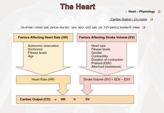 
Heart – Physiology
:

‫תפוקת‬
‫הלב‬
–
Cardiac Output
:

‫עשויה‬
‫להשתנות‬
‫בהתאם‬
‫לגיל‬
,
‫מין‬
,
‫מצב‬
‫לבבי‬
,
‫כושר‬
‫גופני‬
,
‫הפרעות‬
‫מבניות‬
,
‫מצב‬
‫מנוחה‬
/
‫סטרס‬
‫וכו‬
'
.
 