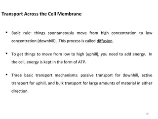 Transport Across the Cell Membrane
 Basic rule: things spontaneously move from high concentration to low
concentration (downhill). This process is called diffusion.
 To get things to move from low to high (uphill), you need to add energy. In
the cell, energy is kept in the form of ATP.
 Three basic transport mechanisms: passive transport for downhill, active
transport for uphill, and bulk transport for large amounts of material in either
direction.
18
 
