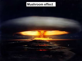 Mushroom effect
 