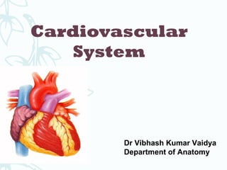Cardiovascular
System
Dr Vibhash Kumar Vaidya
Department of Anatomy
 