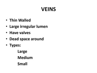 VEINS
• Thin Walled
• Large irregular lumen
• Have valves
• Dead space around
• Types:
Large
Medium
Small
 