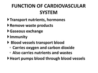 FUNCTION OF CARDIOVASCULAR
SYSTEM
Transport nutrients, hormones
Remove waste products
Gaseous exchange
Immunity
 Blood vessels transport blood
◦ Carries oxygen and carbon dioxide
◦ Also carries nutrients and wastes
Heart pumps blood through blood vessels
 