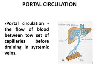PORTAL CIRCULATION
Portal circulation -
the flow of blood
between tow set of
capillaries before
draining in systemic
veins.
 