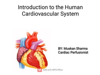 Introduction to the Human
Cardiovascular System
BY: Muskan Sharma
Cardiac Perfusionist
 