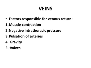 VEINS
• Factors responsible for venous return:
1.Muscle contraction
2.Negative intrathoracic pressure
3.Pulsation of arteries
4. Gravity
5. Valves
 
