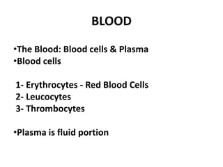 BLOOD
•The Blood: Blood cells & Plasma
•Blood cells
1- Erythrocytes - Red Blood Cells
2- Leucocytes
3- Thrombocytes
•Plasma is fluid portion
 