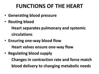 FUNCTIONS OF THE HEART
• Generating blood pressure
• Routing blood
Heart separates pulmonary and systemic
circulations
• Ensuring one-way blood flow
Heart valves ensure one-way flow
• Regulating blood supply
Changes in contraction rate and force match
blood delivery to changing metabolic needs
 