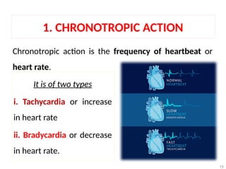 Introduction to the CVS (Cardiovascular System) pptx | PPTX