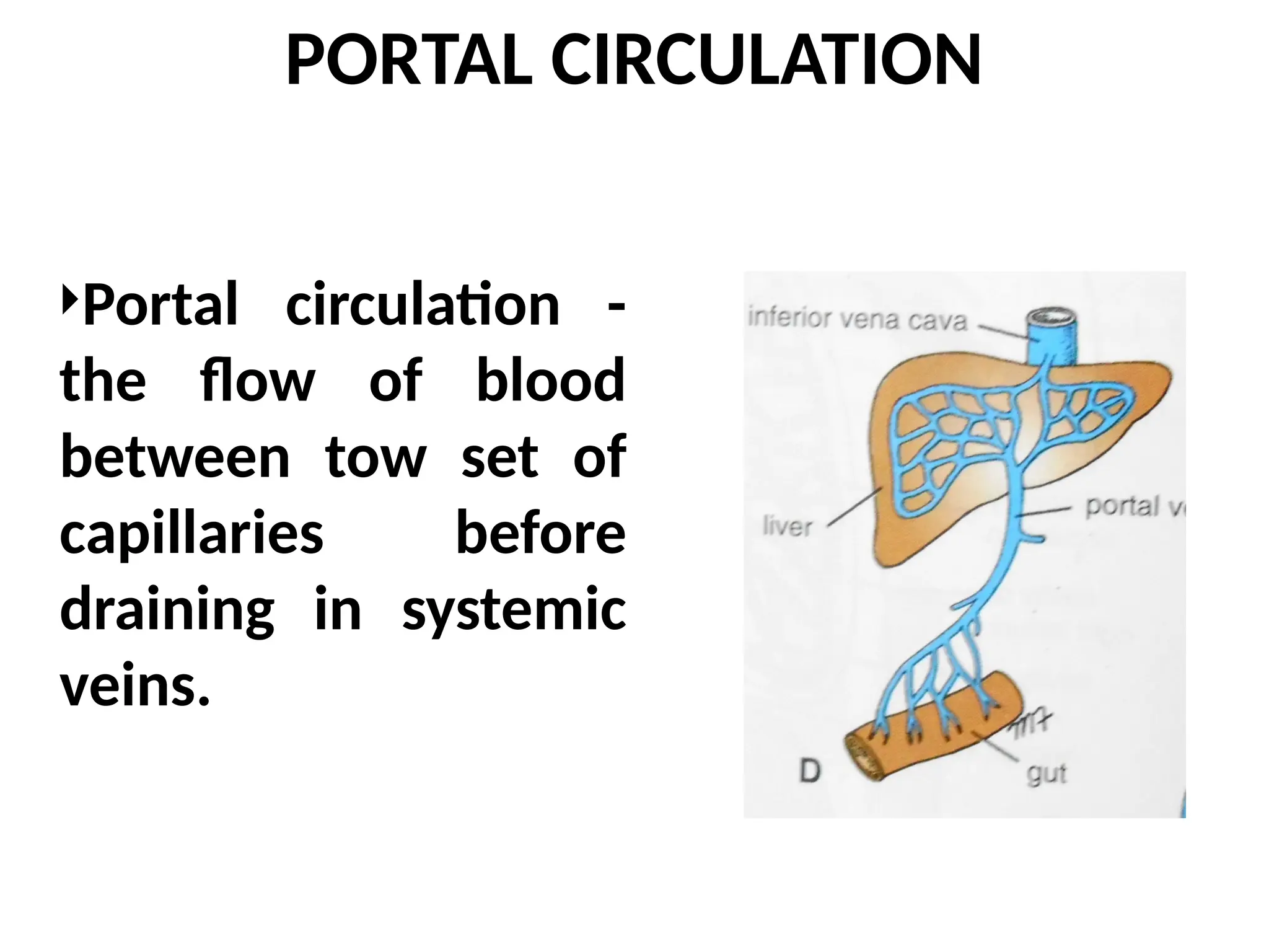 PORTAL CIRCULATION
Portal circulation -
the flow of blood
between tow set of
capillaries before
draining in systemic
veins.
 