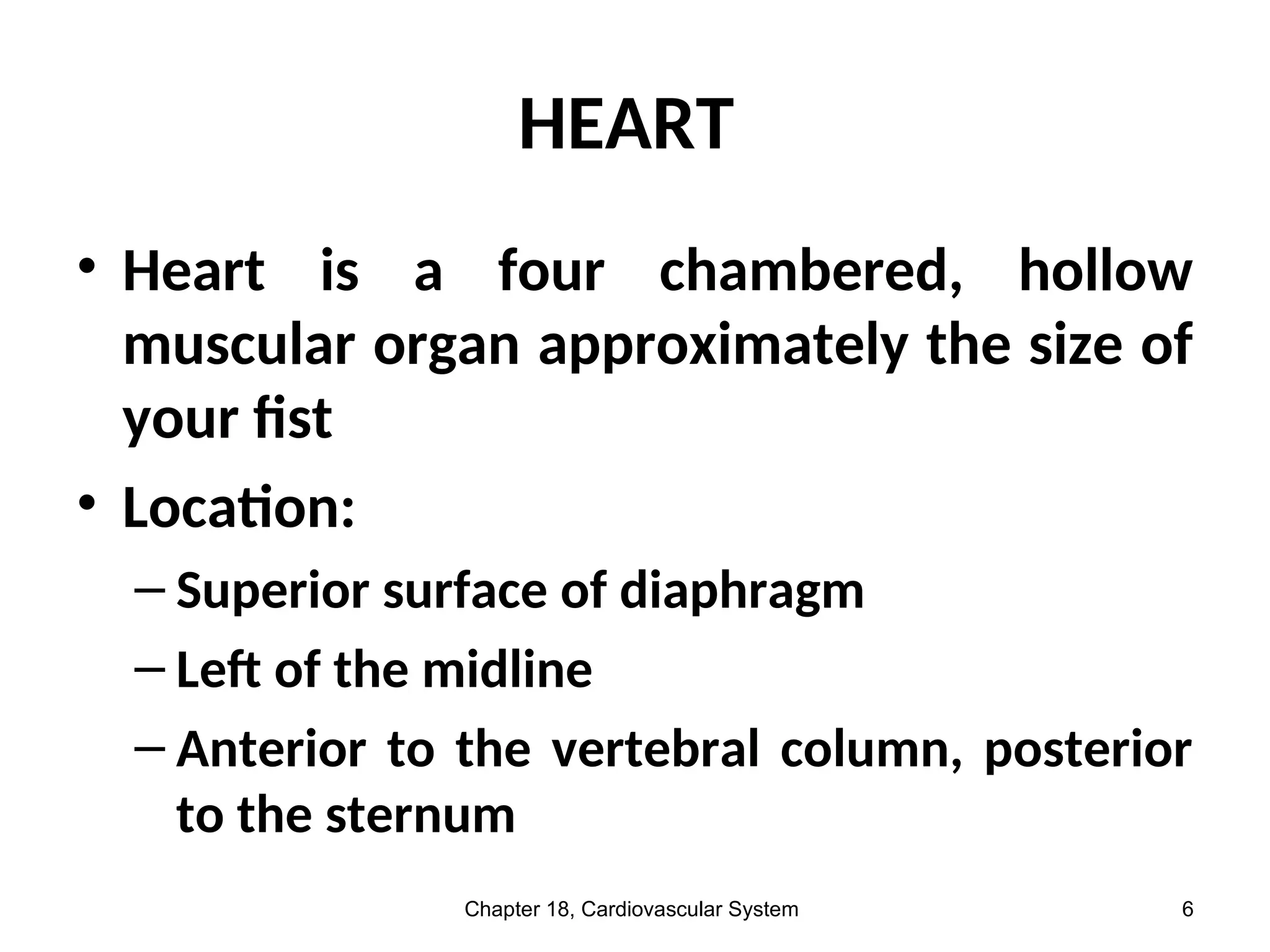 HEART
• Heart is a four chambered, hollow
muscular organ approximately the size of
your fist
• Location:
– Superior surface of diaphragm
– Left of the midline
– Anterior to the vertebral column, posterior
to the sternum
Chapter 18, Cardiovascular System 6
 