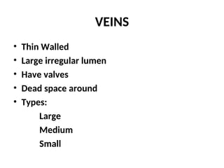 VEINS
• Thin Walled
• Large irregular lumen
• Have valves
• Dead space around
• Types:
Large
Medium
Small
 