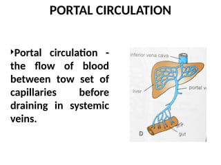 PORTAL CIRCULATION
Portal circulation -
the flow of blood
between tow set of
capillaries before
draining in systemic
veins.
 