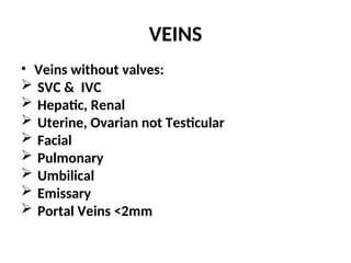 VEINS
• Veins without valves:
 SVC & IVC
 Hepatic, Renal
 Uterine, Ovarian not Testicular
 Facial
 Pulmonary
 Umbilical
 Emissary
 Portal Veins <2mm
 