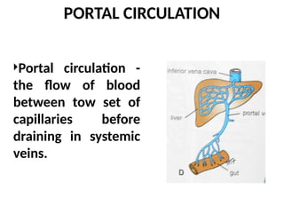 PORTAL CIRCULATION
Portal circulation -
the flow of blood
between tow set of
capillaries before
draining in systemic
veins.
 