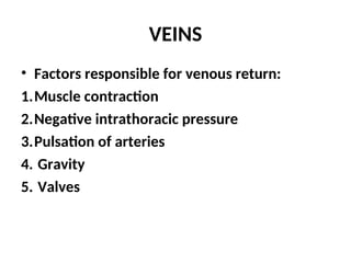 VEINS
• Factors responsible for venous return:
1.Muscle contraction
2.Negative intrathoracic pressure
3.Pulsation of arteries
4. Gravity
5. Valves
 