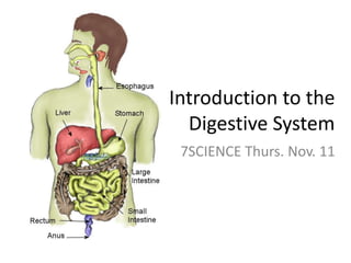 Introduction to the
Digestive System
7SCIENCE Thurs. Nov. 11
 