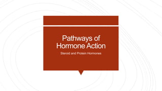 Pathways of
Hormone Action
Steroid and Protein Hormones
 