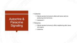 Autocrine &
Paracrine
Signaling
 Autocrine
 Glands secrete hormones to affect self (same cell) into
producing more hormones.
 Interleukin-1
 Paracrine
 Glands secrete hormones to affect neighboring cells, tissue,
and organs.
 Histamine
 