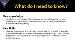 Key Knowledge
   Introduction to the characteristics of aerobic and anaerobic pathways (with or
    without oxygen) and their contribution to movement and dominant fibre type
    associated with each pathway.

Key Skills
   Identify the dominant energy pathway utilised in a variety of aerobic or anaerobic
    activities determined by the intensity and duration of the activity. Collect, analyse
    and report on primary data related to responses to exercise and anaerobic and
    aerobic pathways.
 