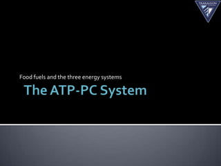 Food fuels and the three energy systems
 