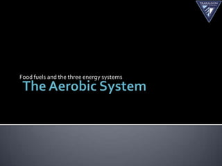 Food fuels and the three energy systems
 
