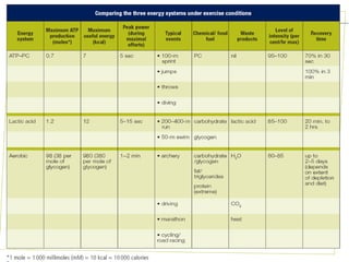 VCE Physical Education - Unit 3
 