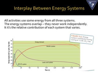 All activities use some energy from all three systems.
The energy systems overlap – they never work independently.
It it’s the relative contribution of each system that varies.
 