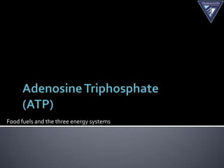 Food fuels and the three energy systems
 