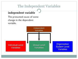 Introduction To The Field Of Organizational Behaviour | PPT