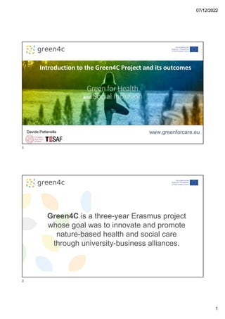 HELP IDENTIFYING YEAR OF PETTENELLA visual data 6