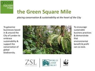 the Green Square Mile
             placing conservation & sustainability at the heart of the City


Raise £1million                                                     The GSM will
per annum to                                                        become a
donate to three                                                     registered charity
fantastic                                                           later in 2013.
conservation
charities.
 