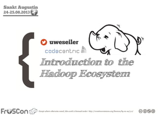 Sankt Augustin
24-25.08.2013
Introduction to the
Hadoop Ecosystem
uweseiler
 