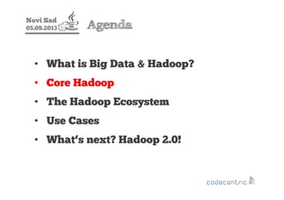 Novi Sad
05.09.2013 Agenda
• What is Big Data & Hadoop?
• Core Hadoop
• The Hadoop Ecosystem
• Use Cases
• What‘s next? Ha...