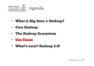 Novi Sad
05.09.2013 Agenda
• What is Big Data & Hadoop?
• Core Hadoop
• The Hadoop Ecosystem
• Use Cases
• What‘s next? Ha...