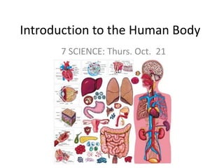 Introduction to the Human Body 7 SCIENCE: Thurs. Oct.  21 