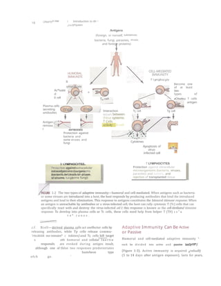 INTRODUCTION TO THE Human IMMUNE system (1).pptx