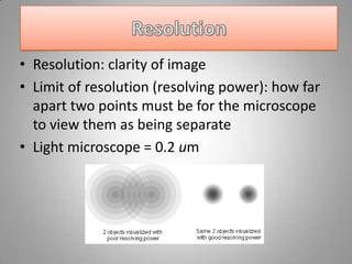 Introduction to the light microscope | PPT