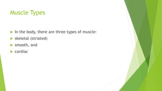 Muscle Types
 In the body, there are three types of muscle:
 skeletal (striated)
 smooth, and
 cardiac
 