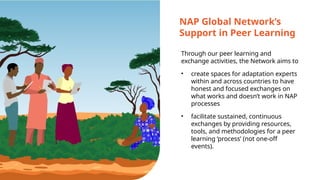 Introduction to the NAP Process and NAP Global Network | PPTX