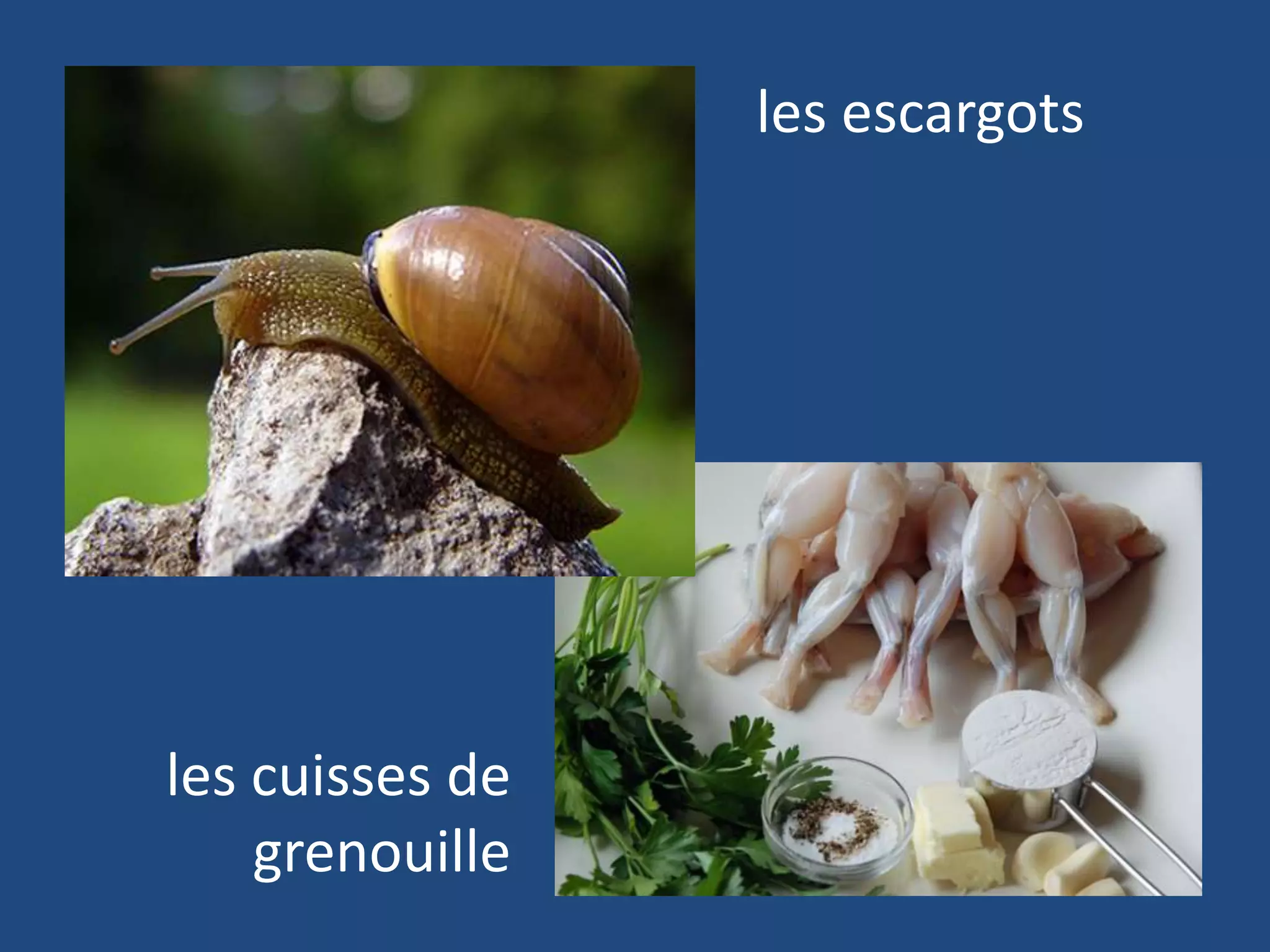 les escargots




les cuisses de
    grenouille
 