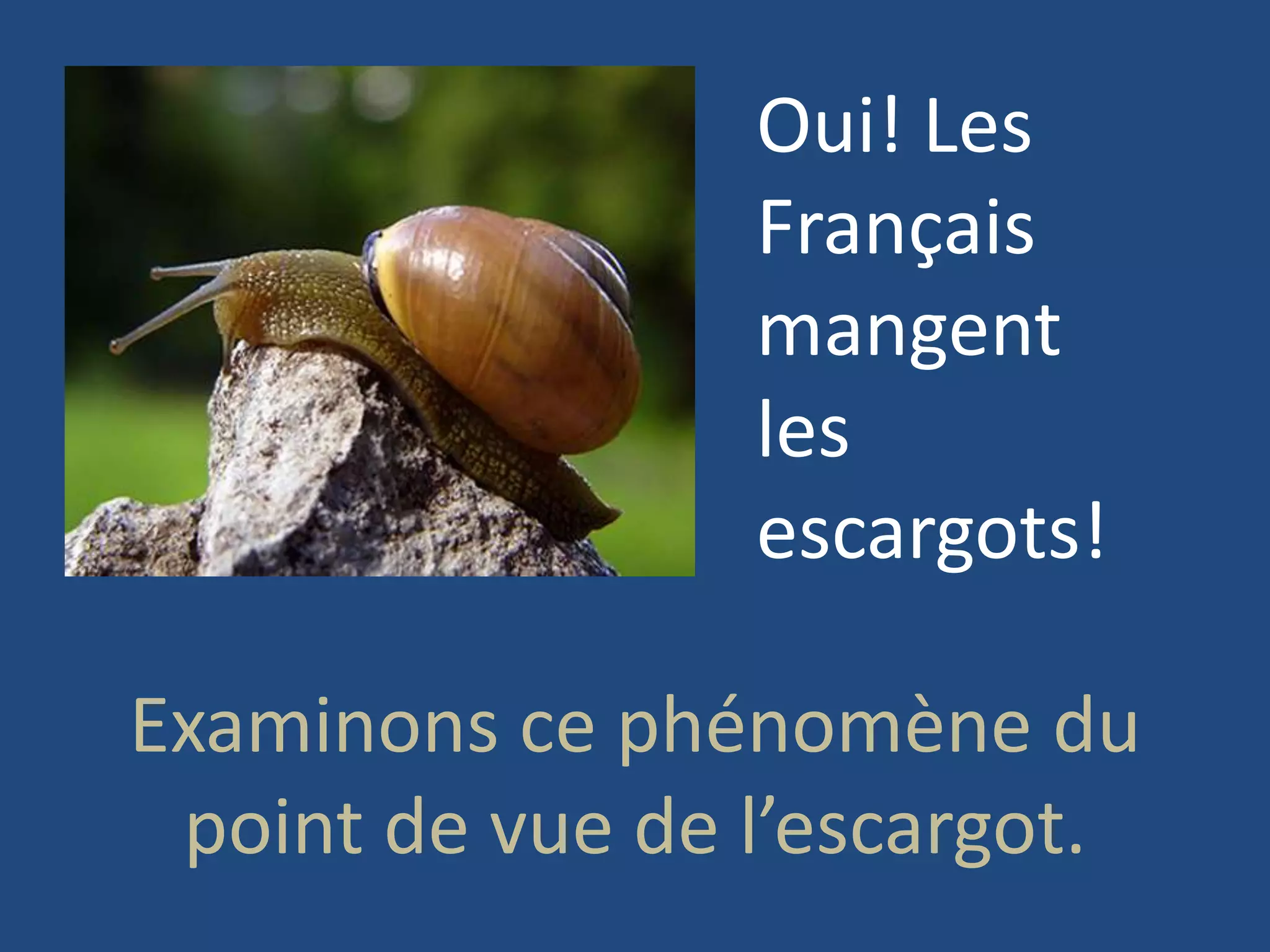 Oui! Les
                 Français
                 mangent
                 les
                 escargots!

Examinons ce phénomène du
 point de vue de l’escargot.
 