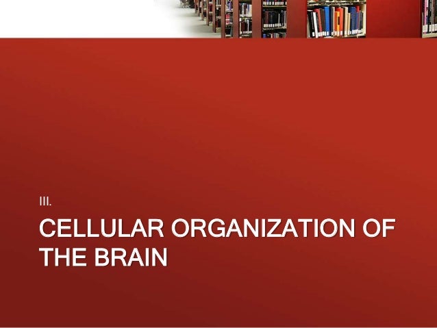 Introduction to the pharmacology of CNS drugs