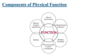 Components of Physical Function
 