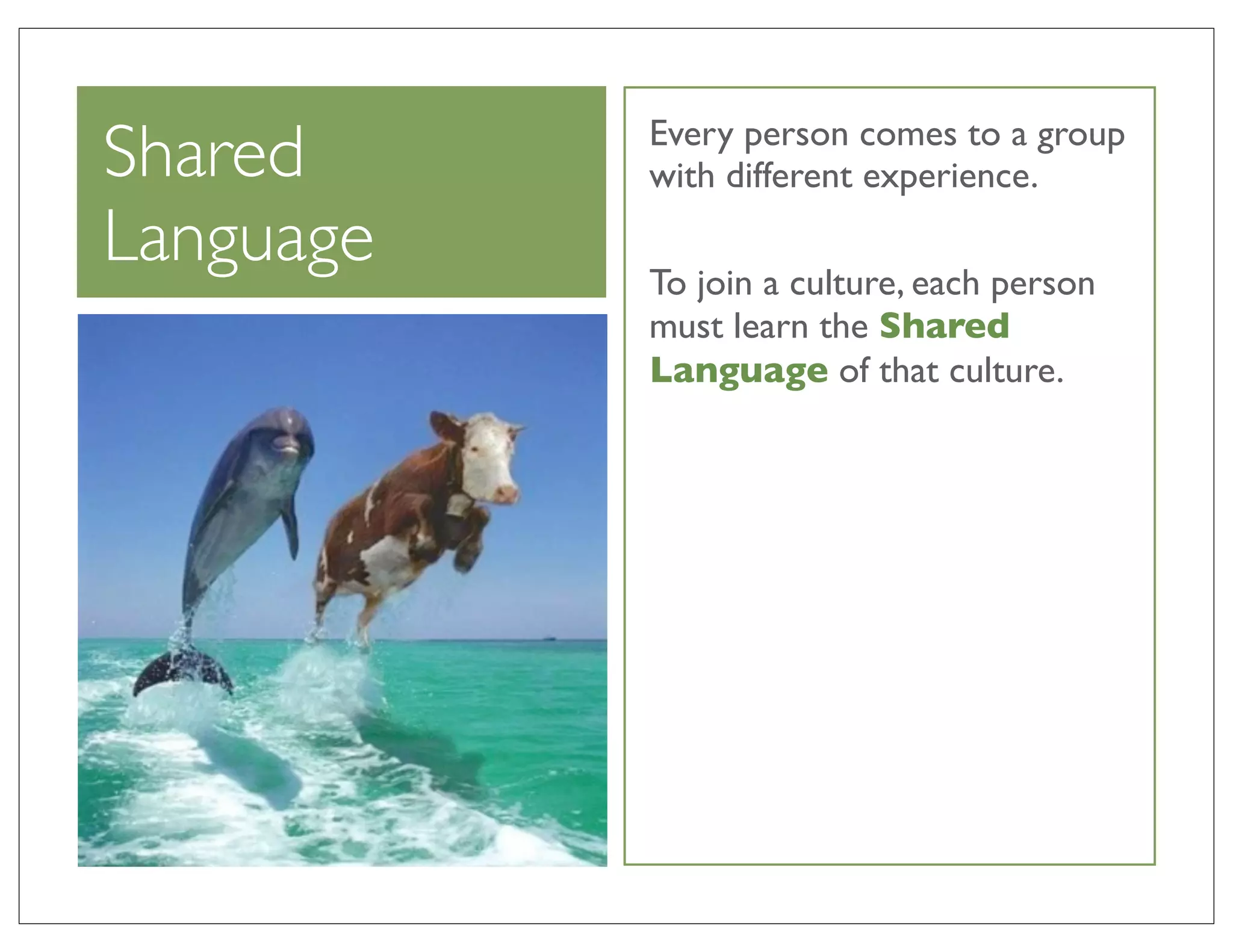 Shared     Every person comes to a group
           with different experience.
Language   To join a culture, each person
           must learn the Shared
           Language of that culture.
 