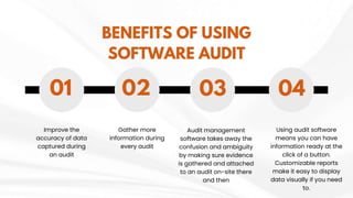 Introduction to the Software Audit.pptx