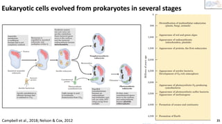 Comprehensive Introduction to Biochemistry: Foundations and Evolution | PDF